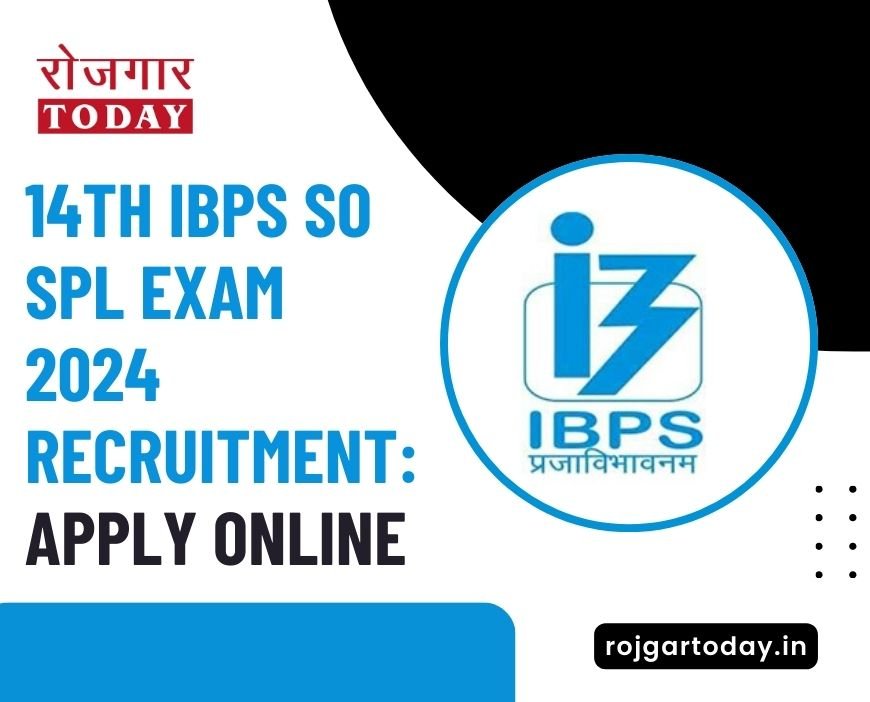 14th IBPS SO SPL Exam 2024 Recruitment: Apply Online